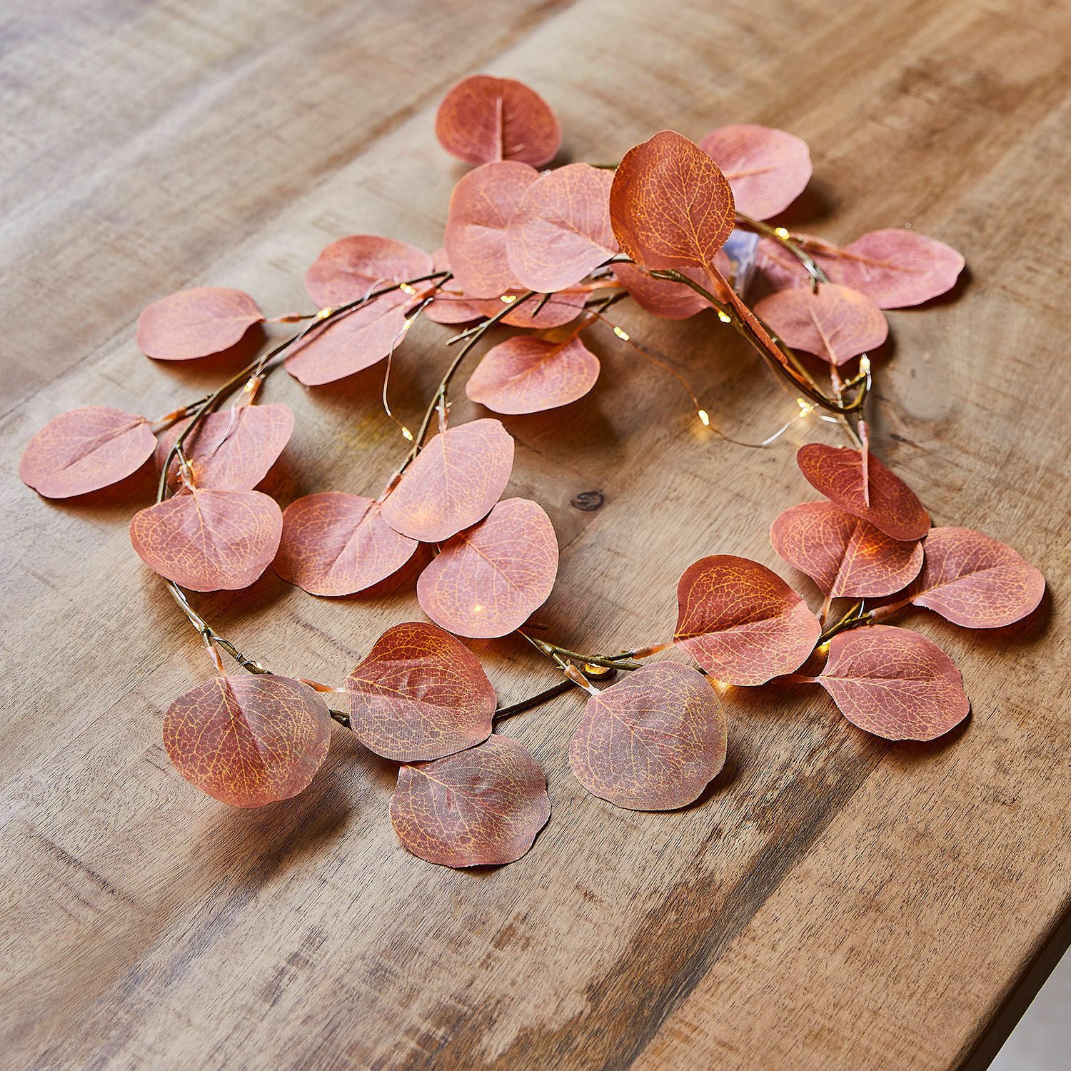 Mirabeau Lichterkette Lichterkette Gracielle rot