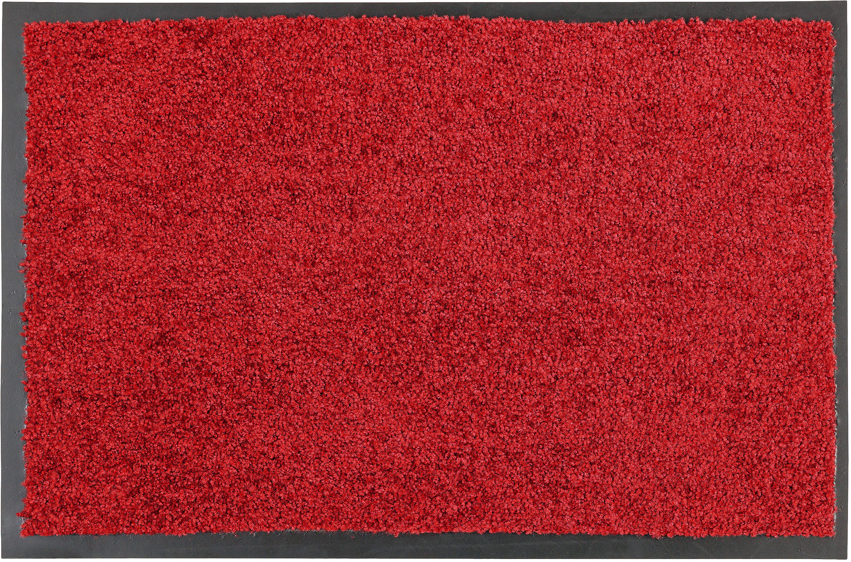 ASTRA Fußmatte Proper Tex 618, rechteckig, Höhe: 9 mm, Schmutzfangmatte, auch als Läufer, waschbar, In -und Outdoor geeignet