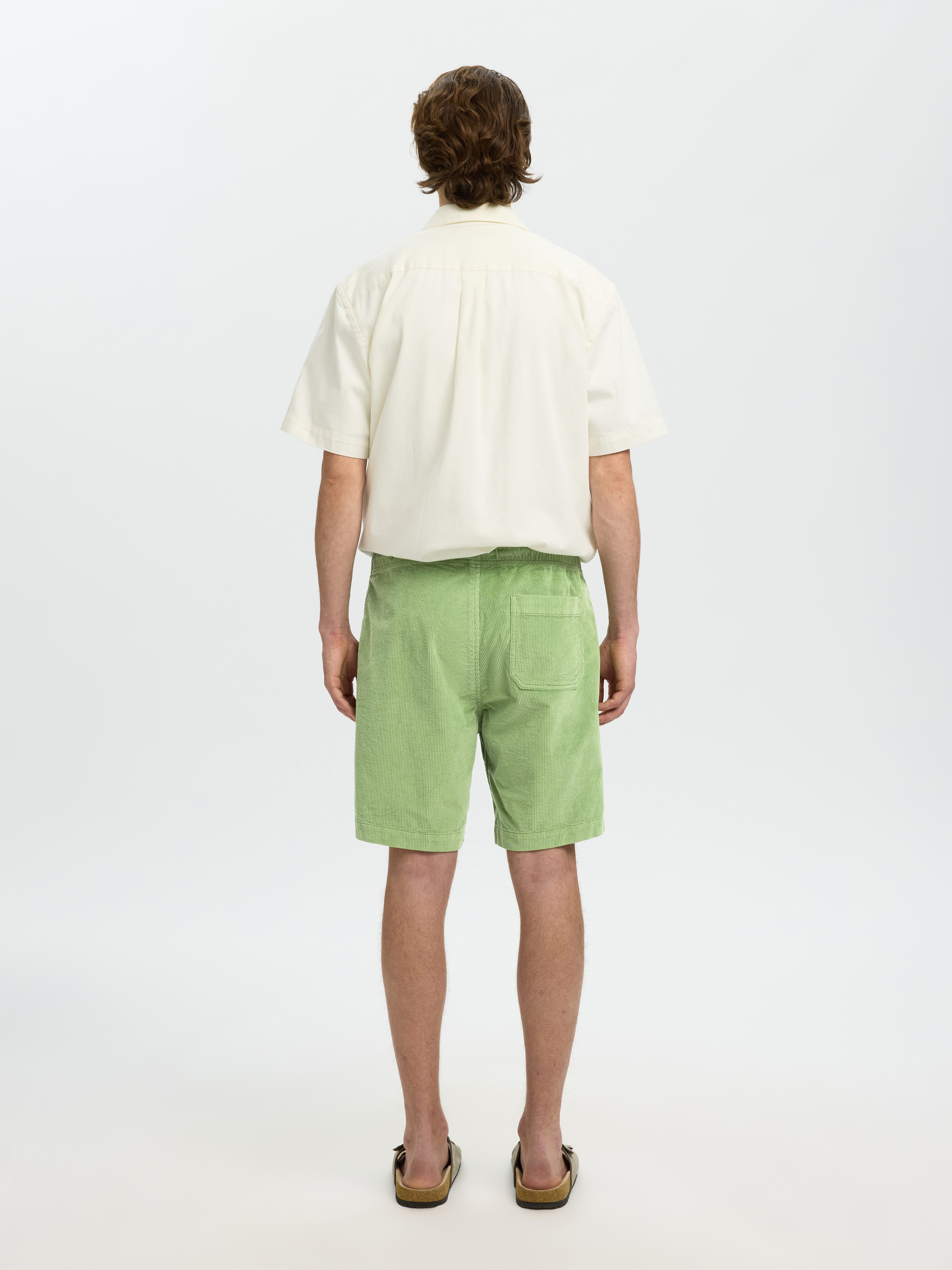SELECTED HOMME Shorts