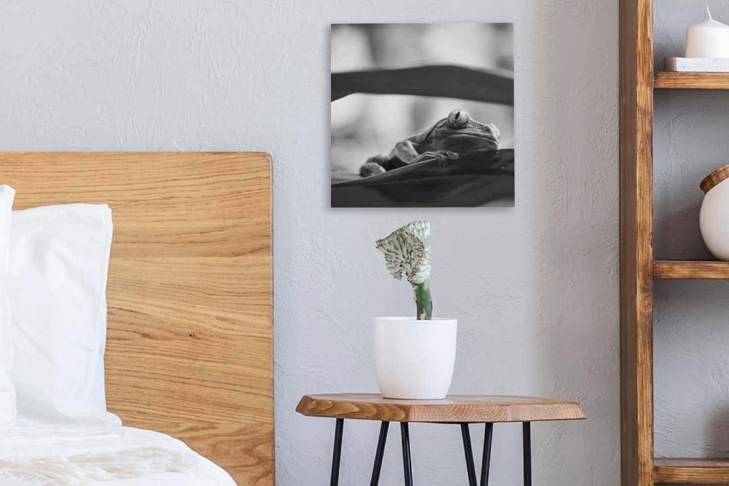 in Frösche Leinwandbild Bilder Costa Schlafzimmer Weiß, Natur für Ricas (1 OneMillionCanvasses® Wohnzimmer der und in St), Leinwand Schwarz