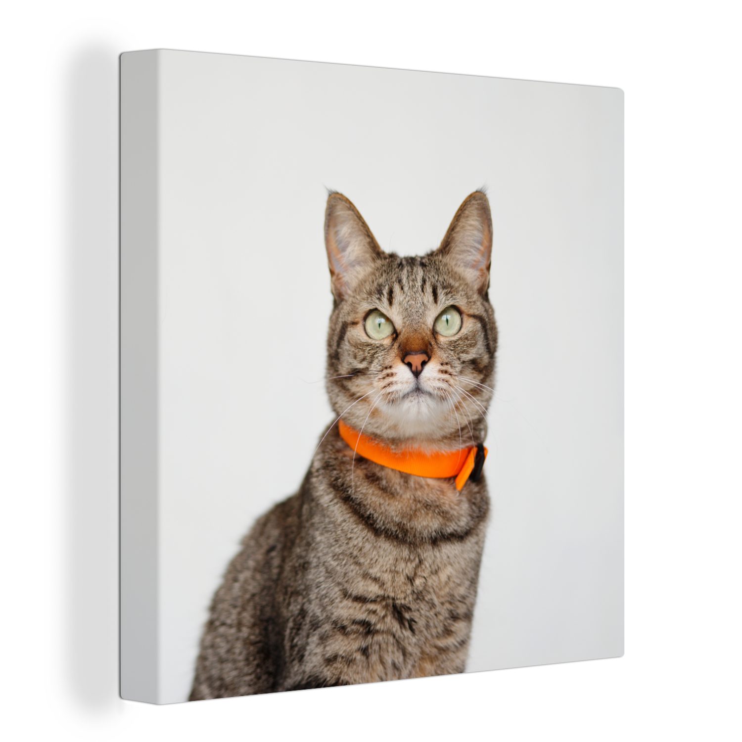 OneMillionCanvasses® Leinwandbild Katze - Halskette - Orange - Mädchen - Kinder - Jungen - Kinder, (1 St), Leinwand Bilder für Wohnzimmer Schlafzimmer bunt