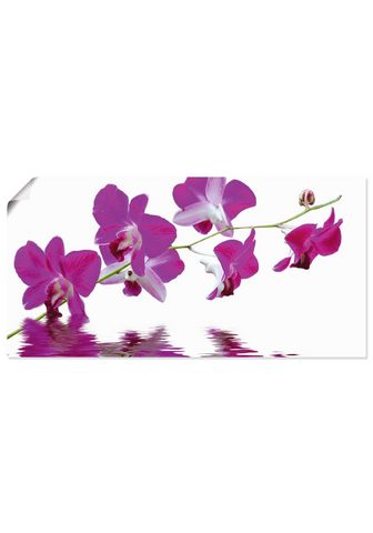 Artland Paveikslas »Violette Orchideen« Blumen...