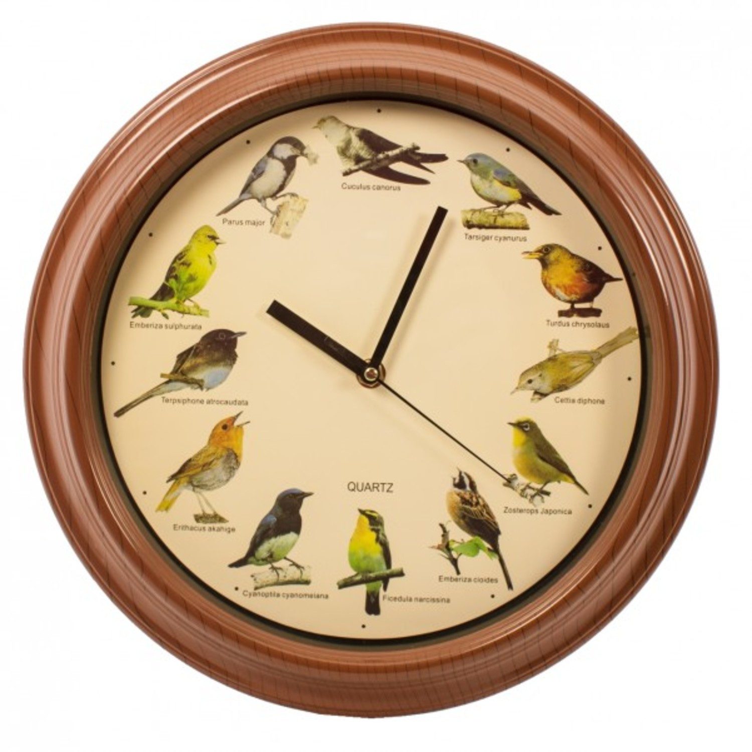 Out of the Blue Wanduhr Wanduhr mit Vogelstimmen