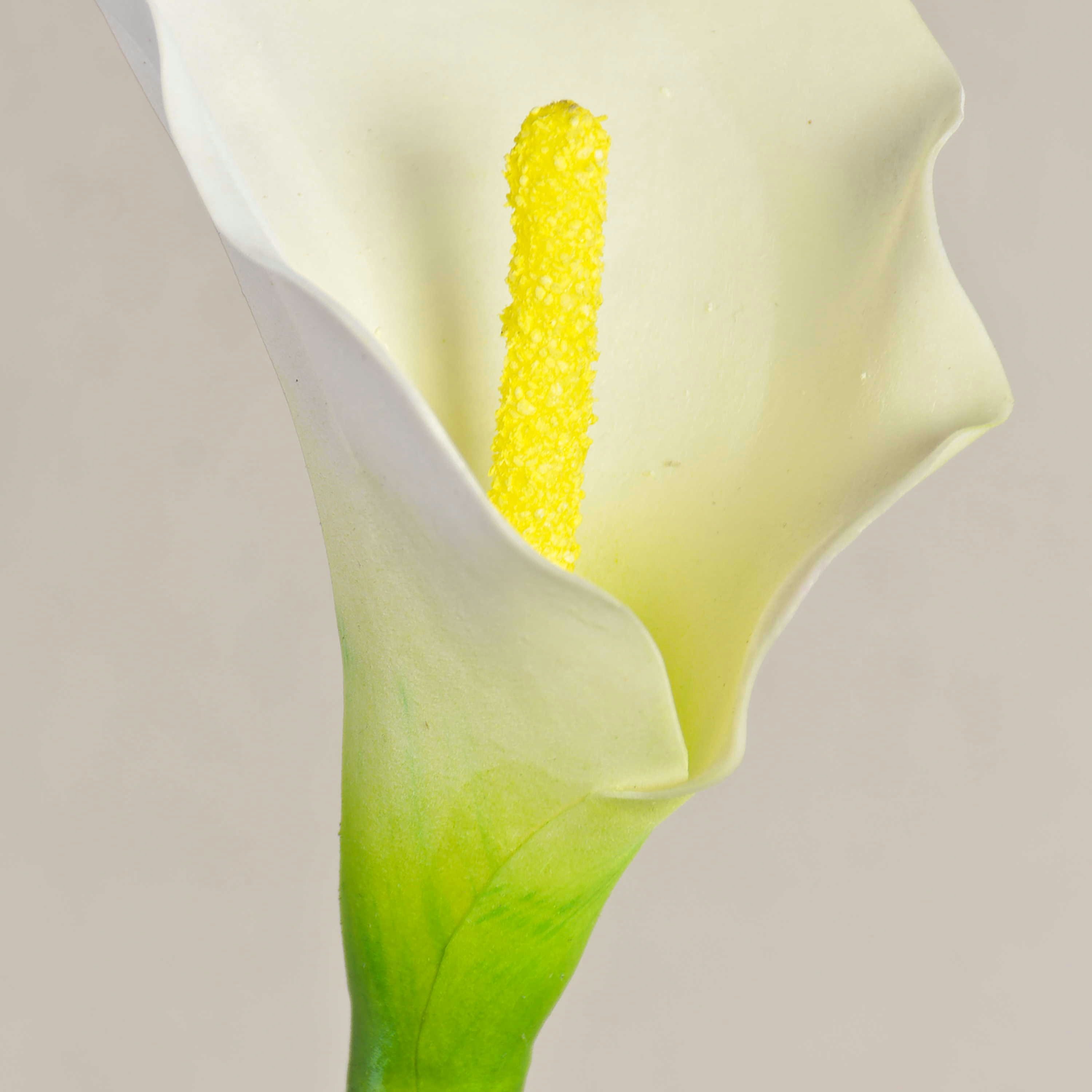 Kunstblume Kunst Calla, weiß, natürlich anfühlend, 70cm, 8x12cm Calla, artplants, Höhe 70.0 cm