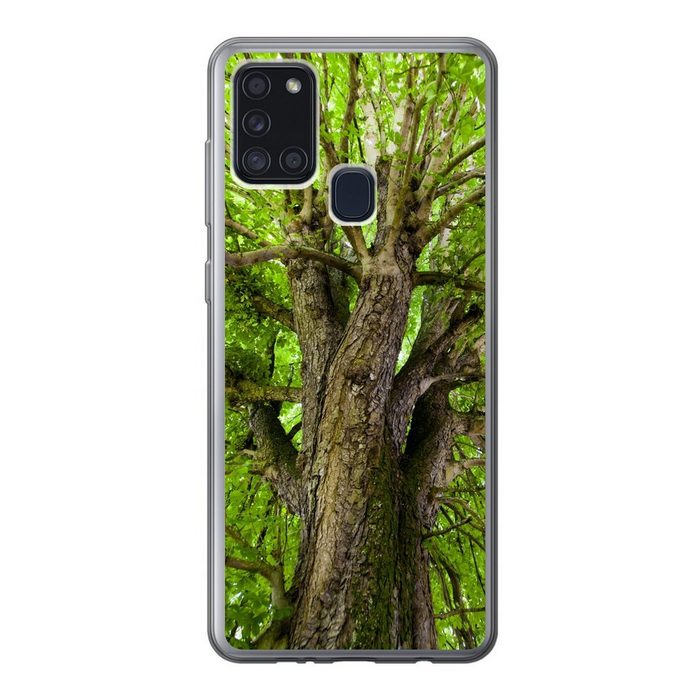 MuchoWow Handyhülle Ein Kastanienbaum im Sommer Handyhülle Samsung Galaxy A21s Smartphone-Bumper Print Handy