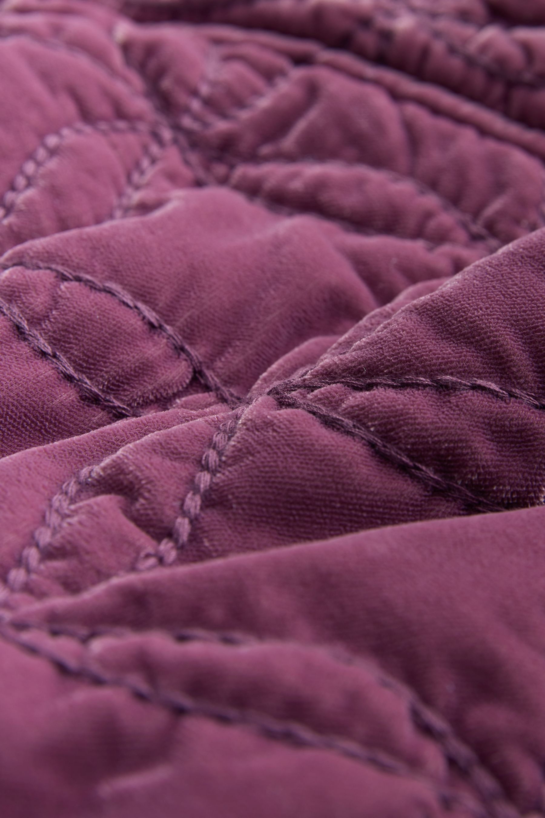 Next Steppjacke Gesteppte Samtjacke (1-St)