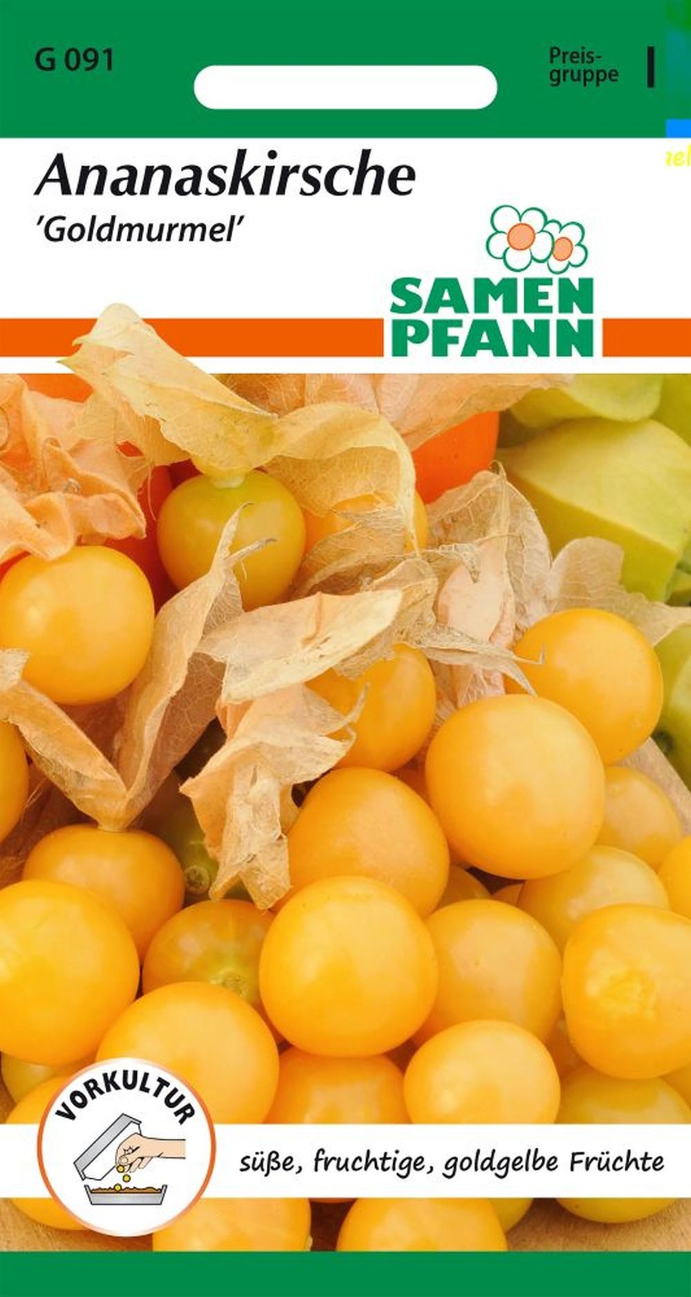 SAMEN PFANN Gemüsesamen Physalis, Goldmurmel - Saatgut Samen, Physalis pruinosa, var. Goldmurmel