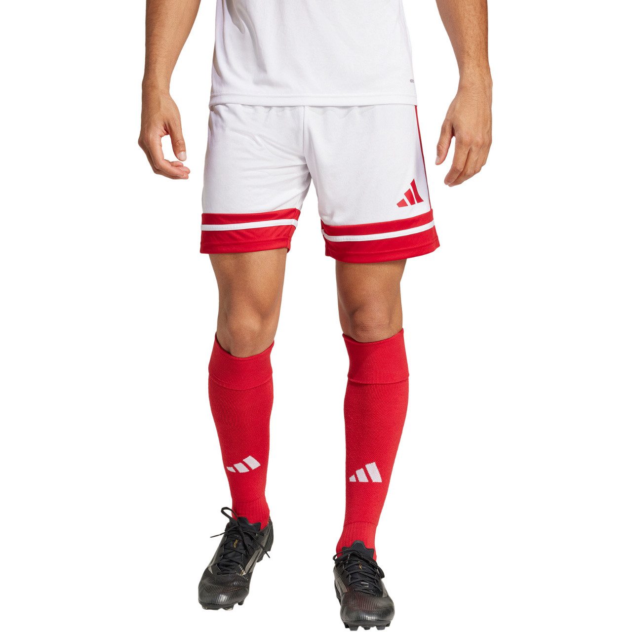 adidas Performance Trainingsshorts Squadra 25