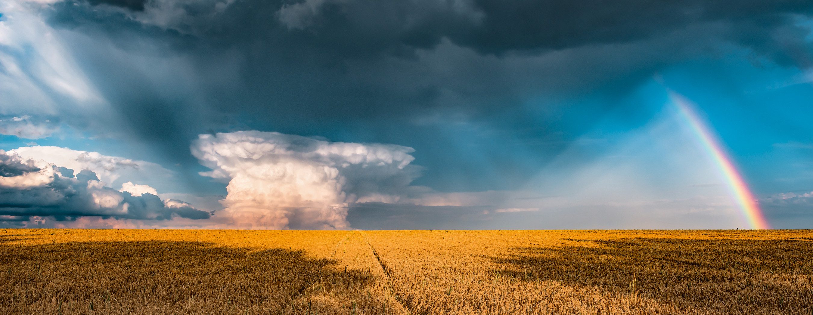 Ravensburger Puzzle Panorama, Mystisches Regenbogenwetter, 1000 günstig online kaufen