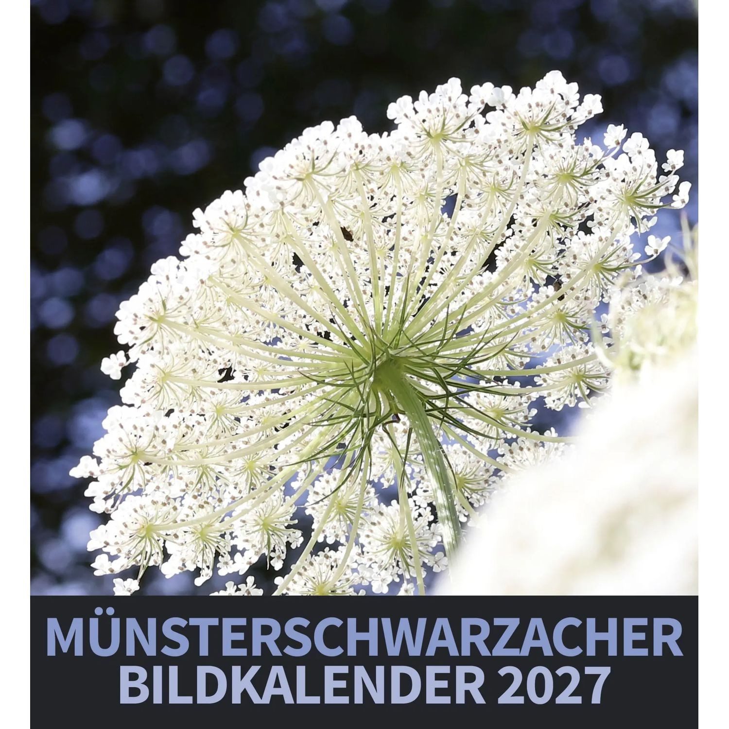 Wandkalender Münsterschwarzacher Bildkalender 2027