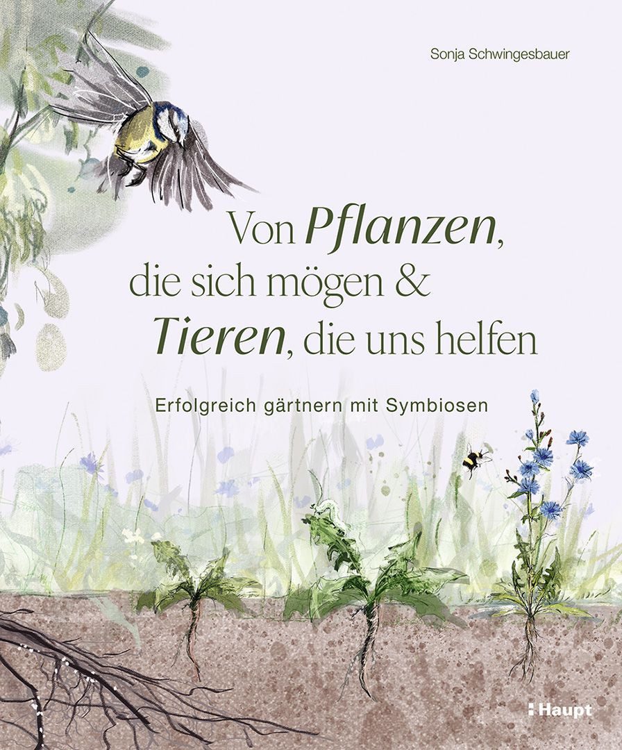 Von Pflanzen, die sich mögen, und Tieren, die uns helfen / Sonja Schwingesbauer, Erfolgreich gärtnern mit Symbiosen