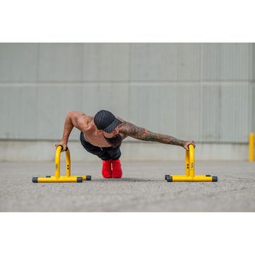 Lebert Ganzkörpertrainer Parallel Bars Equalizer, Eigengewichtstraining für Kraft und Ausdauer