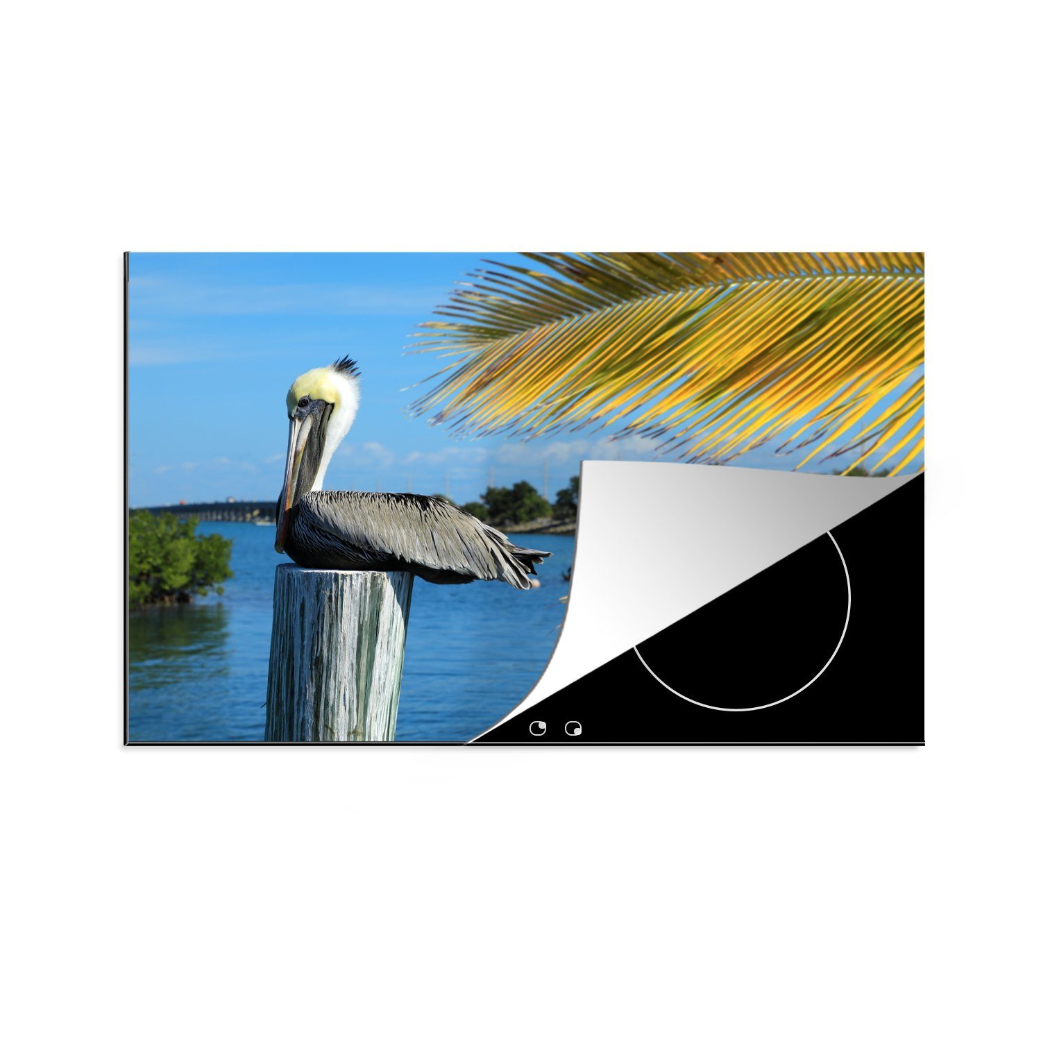 MuchoWow Herdblende-/Abdeckplatte Pelikan auf einem Holzpfahl in Key West, Florida, Vinyl, (1 tlg), 81x52 cm, Induktionskochfeld Schutz für die küche, Ceranfeldabdeckung