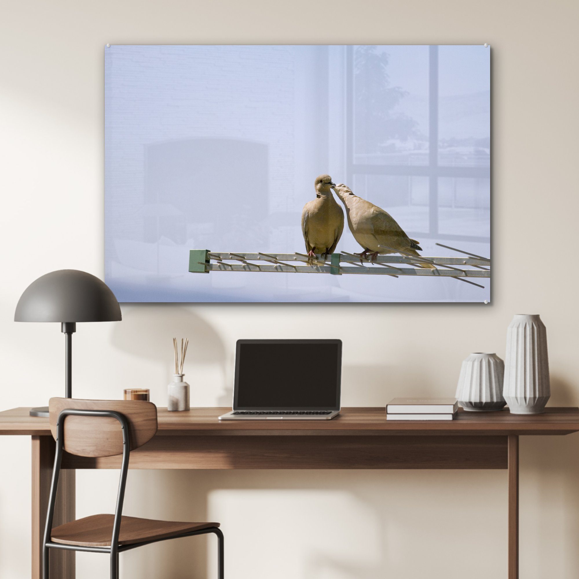 Tiere, Turteltaube Wohnzimmer Acrylglasbild St), Acrylglasbilder - (1 MuchoWow & Antenne - Schlafzimmer