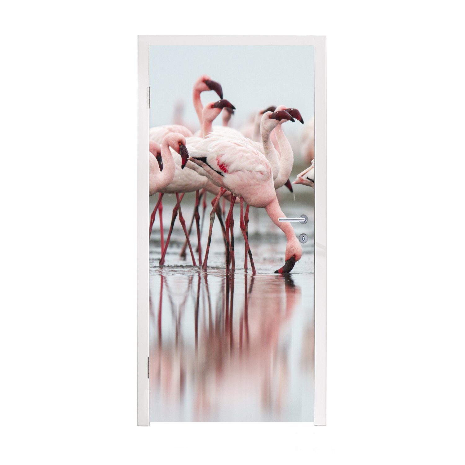 MuchoWow Türtapete Eine Gruppe von blassrosa Flamingos steht im Wasser, Matt, bedruckt, (1 St), Fototapete für Tür, Türaufkleber, 75x205 cm