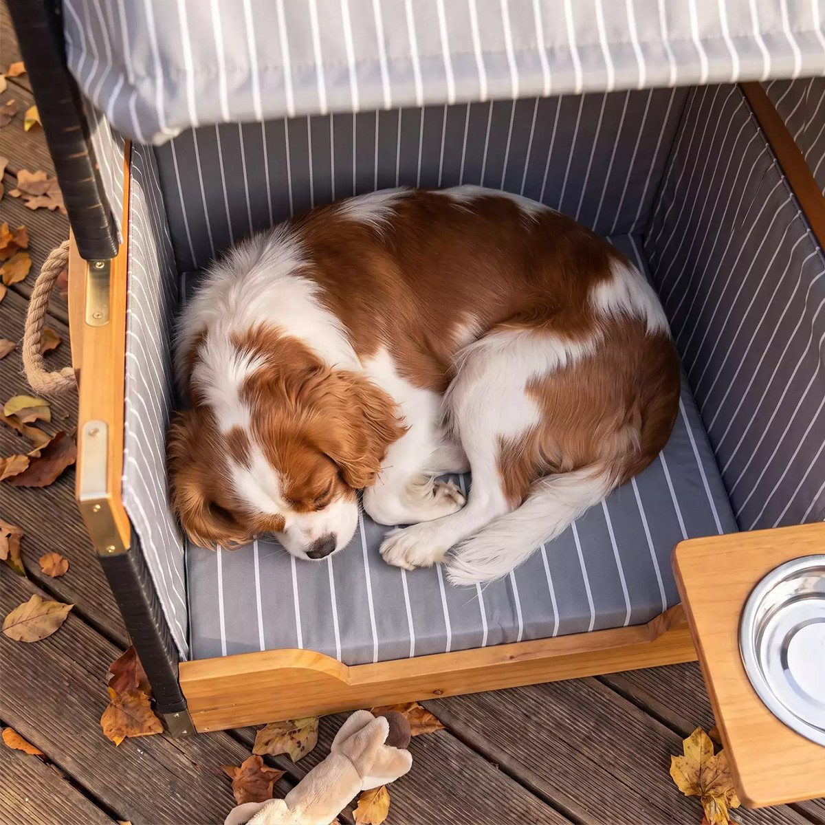WebaVita Strandkorb Webavita Hundestrandkorb Lassie Mini, BxTxH: 56x45x74 cm – Bild 5 von 5