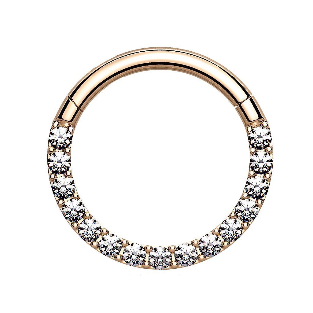 Taffstyle Nasenpiercing Piercing Nase Ohr Segment Ring Scharnier Kristalle, günstig online kaufen