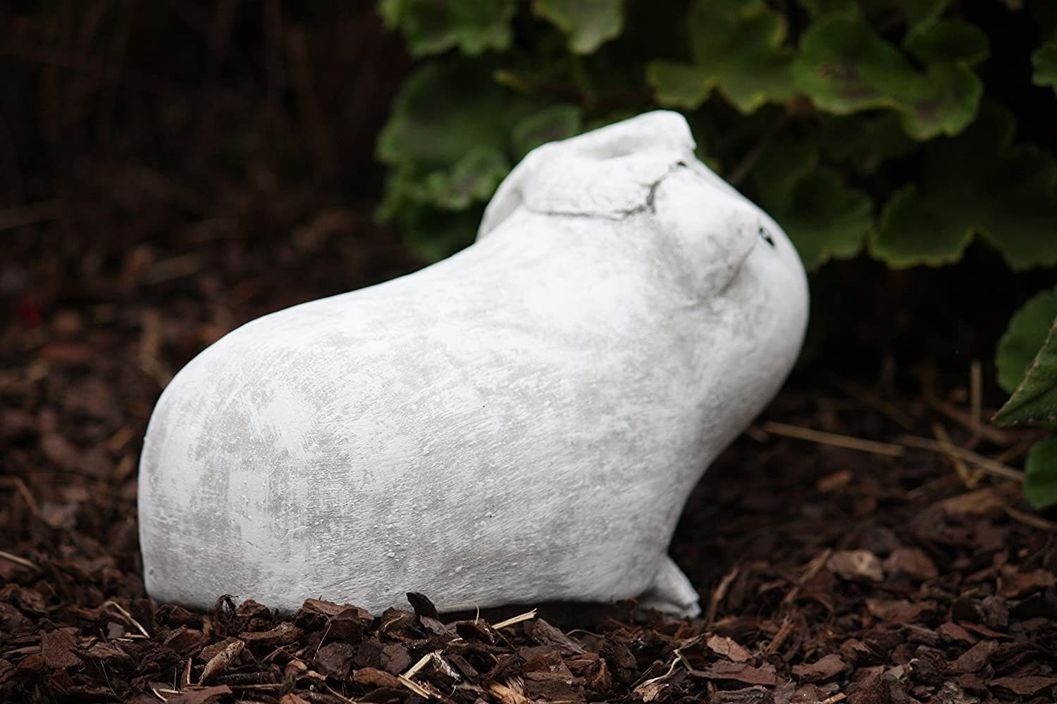 Stone and Style Gartenfigur Frostfeste Steinfigur Meerschweinchen Helmut – Bild 4 von 5