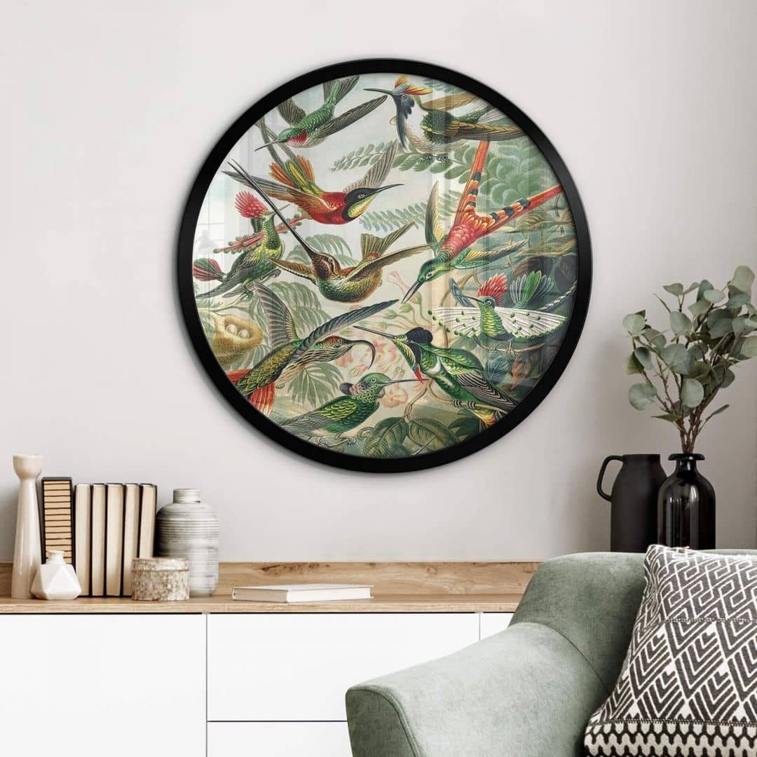 Poster Wandbild Poster Rund Gemälde Kolibris tropischer Regenwald Haeckel