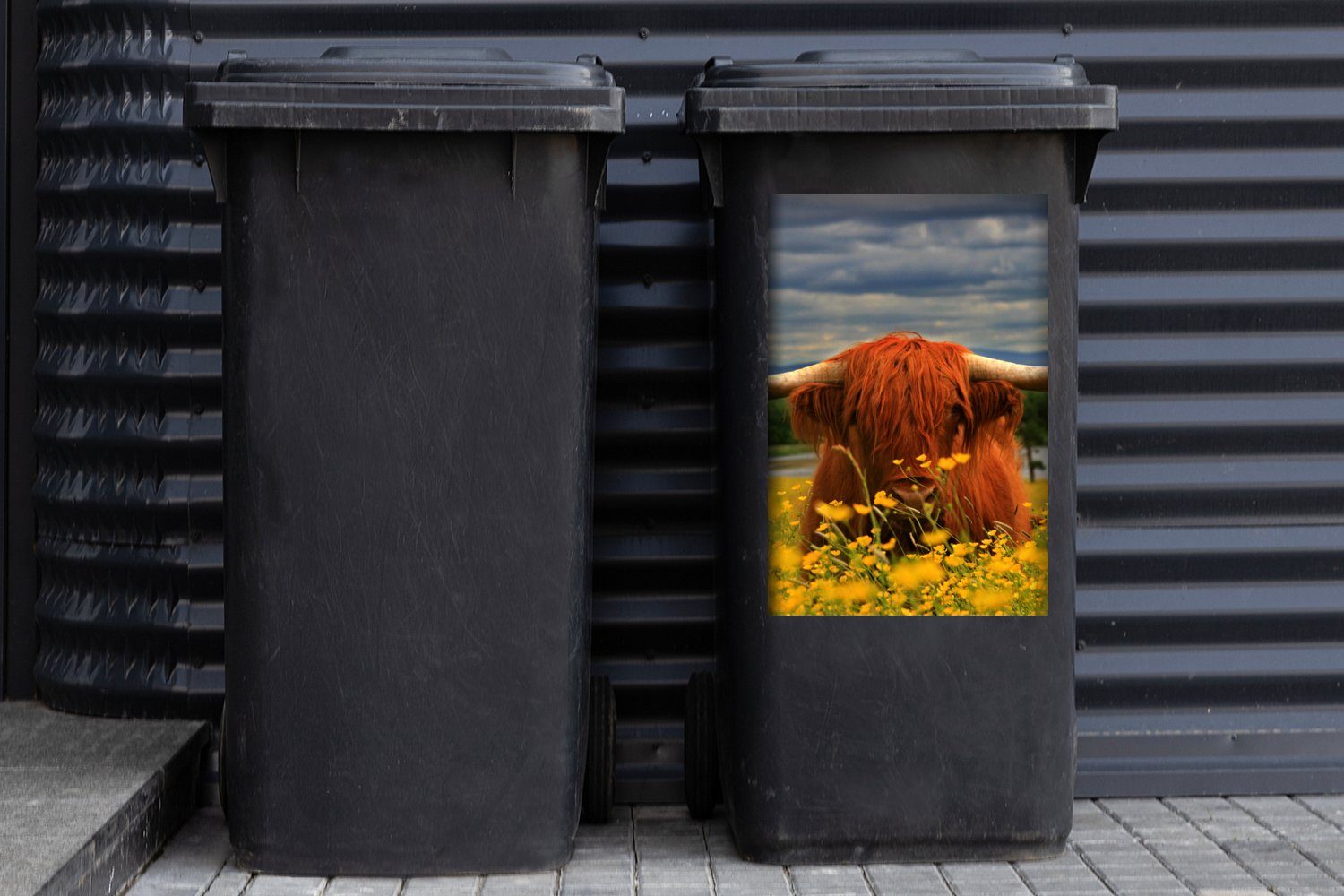 MuchoWow Wandsticker Schottischer (1 St), Mülleimer-aufkleber, - - Abfalbehälter Tiere Highlander Mülltonne, Sticker, Blumen Container