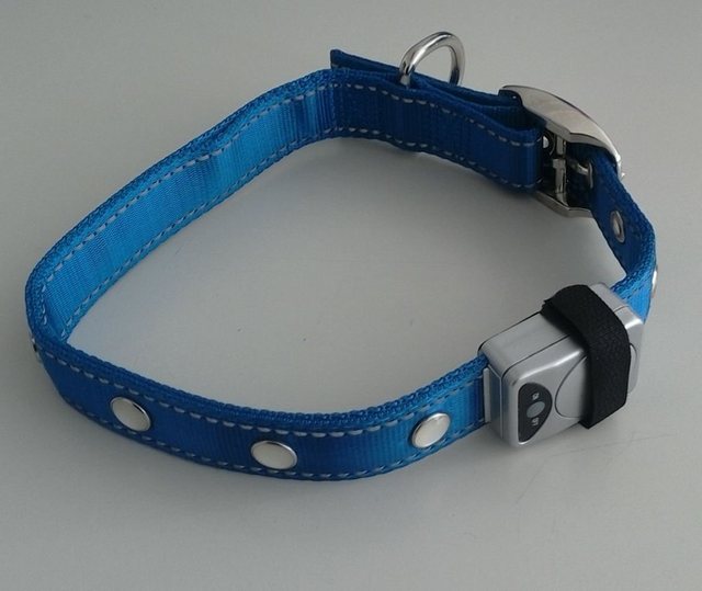 MeLiTec Hundehalsbandleuchte “LED-Hundehalsband R2”