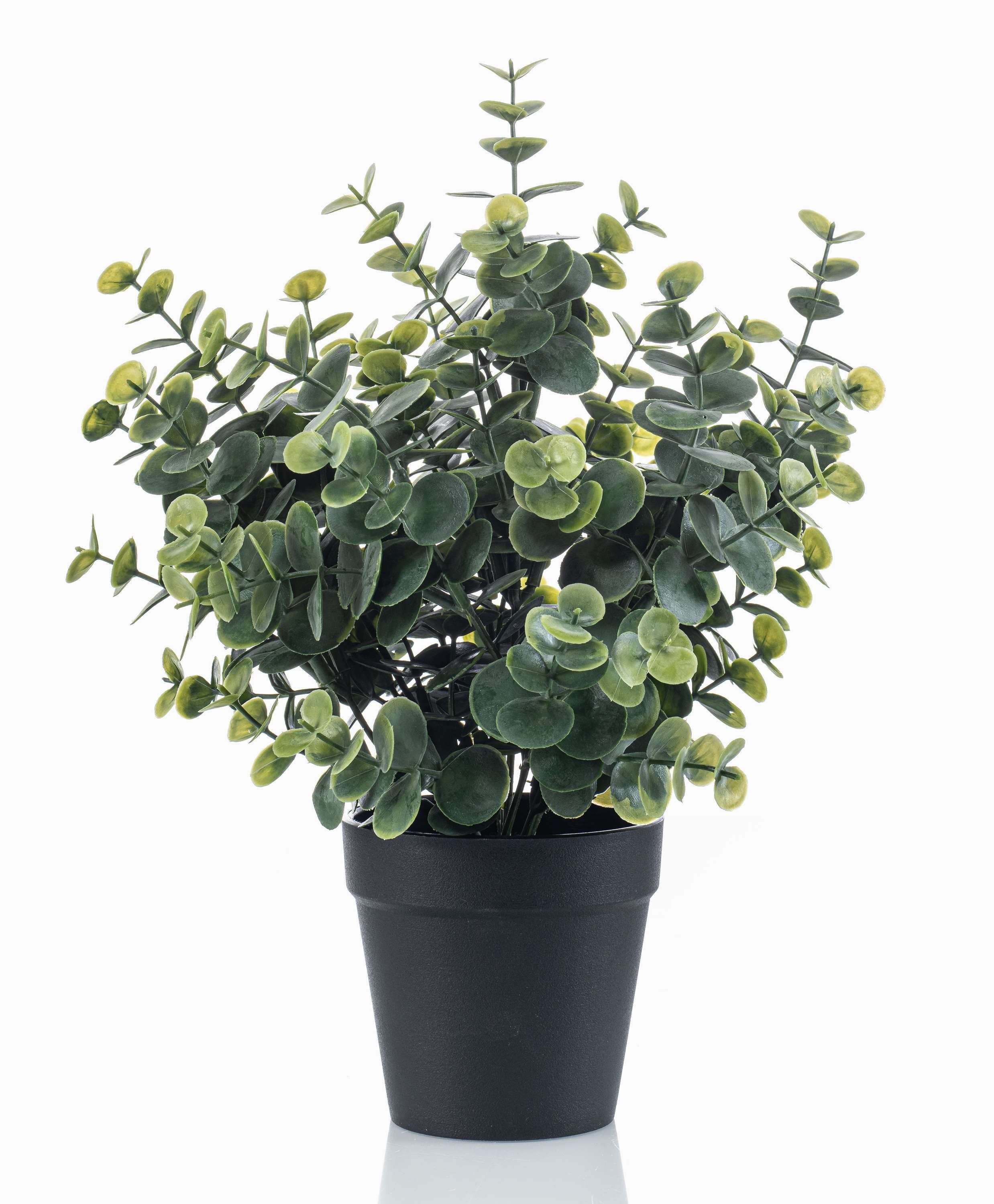 Kunstpflanze Deko Eukalyptus GLIWEN im Dekotopf, grün-grau, 30cm Eukalyptus, artplants, Höhe 30.0 cm