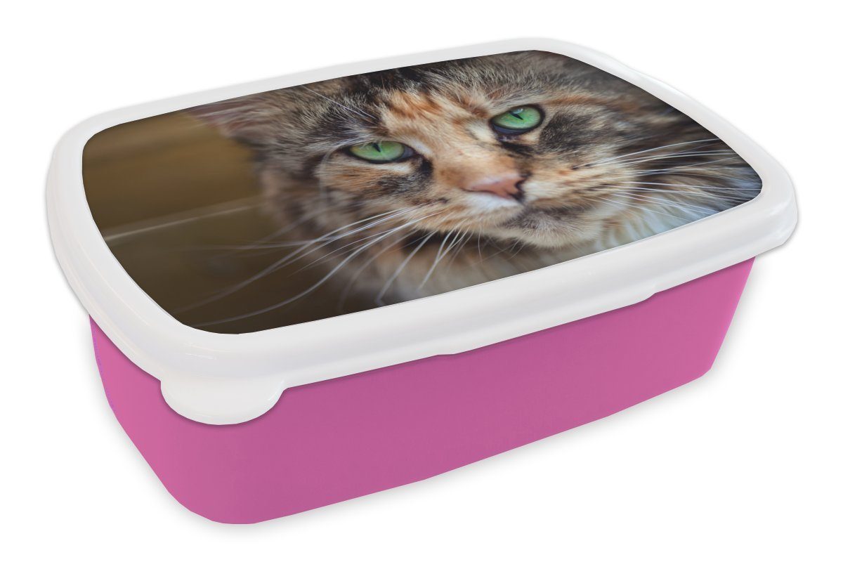 MuchoWow Lunchbox Maine Coon Katze mit grünen Augen, Kunststoff, (2-tlg), Brotbox für Erwachsene, Brotdose Kinder, Snackbox, Mädchen, Kunststoff rosa