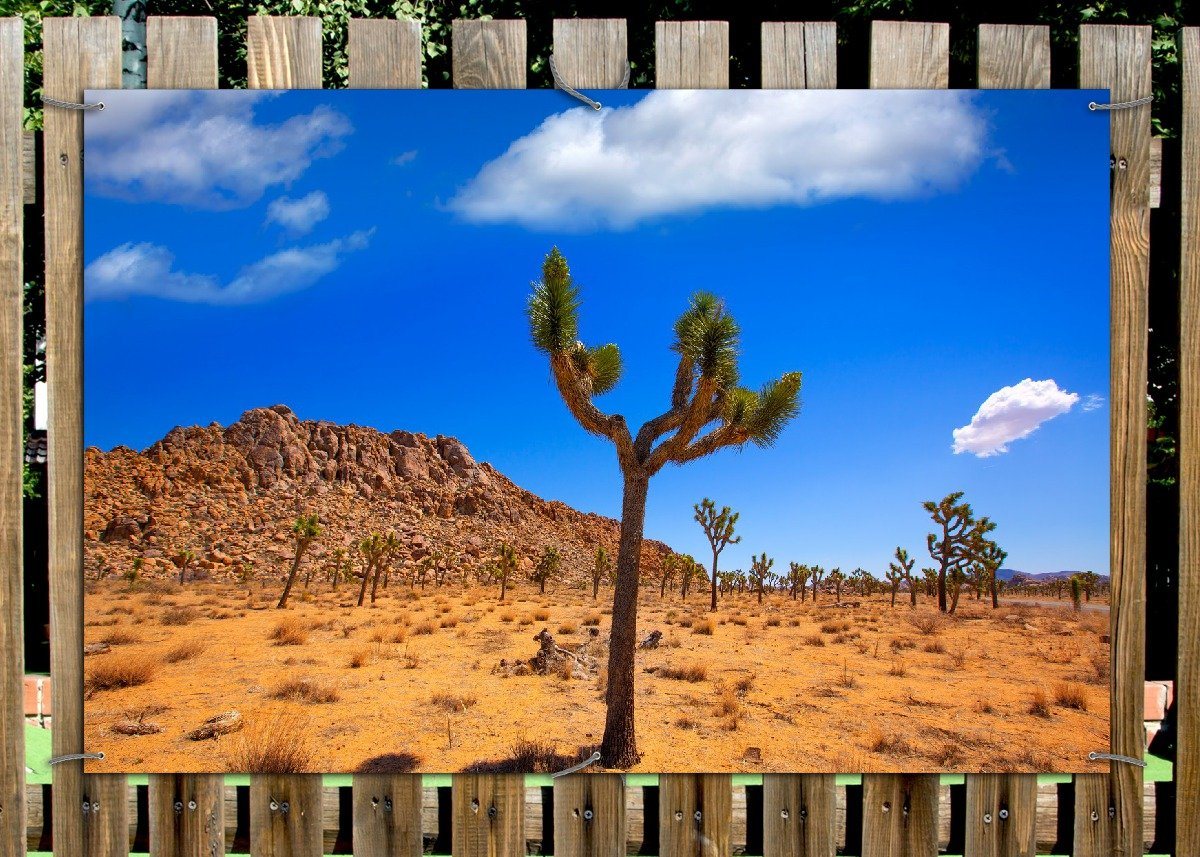 Thumbnail - Wallario Sichtschutzzaunmatten Palmlilie im Nationalpark Yucca Valley Wüstenlandschaft