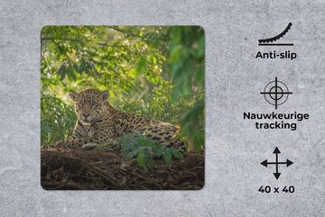 MuchoWow Gaming Mauspad Jaguar im Dschungel (1-St), Mousepad mit Rutschfester Unterseite, Gaming, 40x40 cm, XXL, Großes
