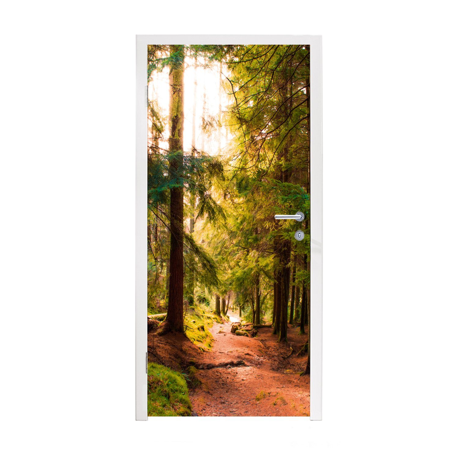 Weg Matt, - Grün Türtapete cm Fototapete Wald bedruckt, St), - für Bäume Türaufkleber, - Sonne Tür, (1 - - 75x205 Natur, MuchoWow