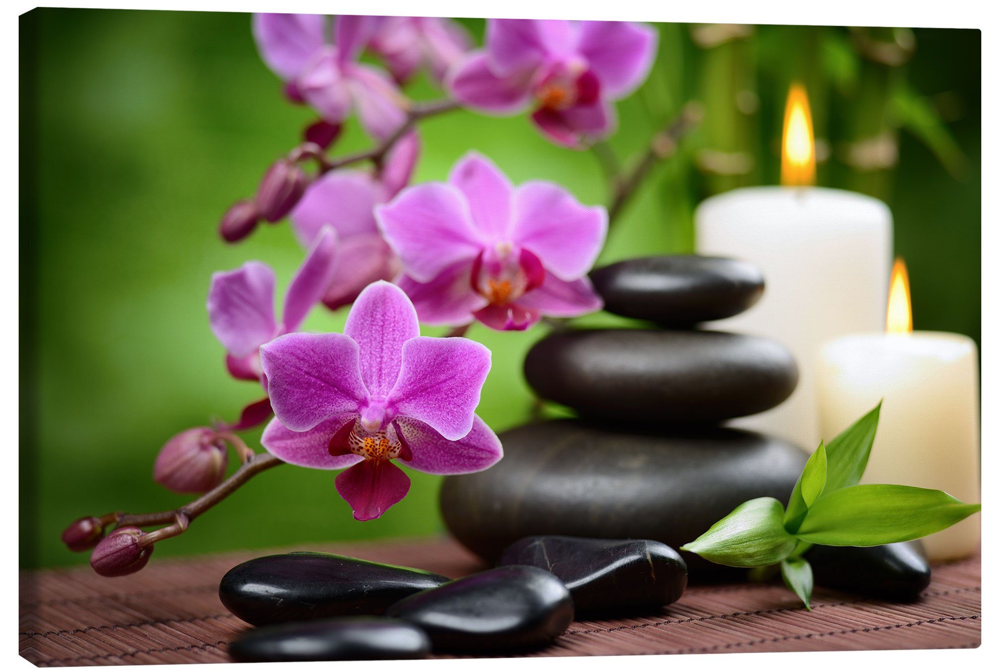 Posterlounge Poster Editors Choice, Wellness-Stillleben mit günstig online kaufen