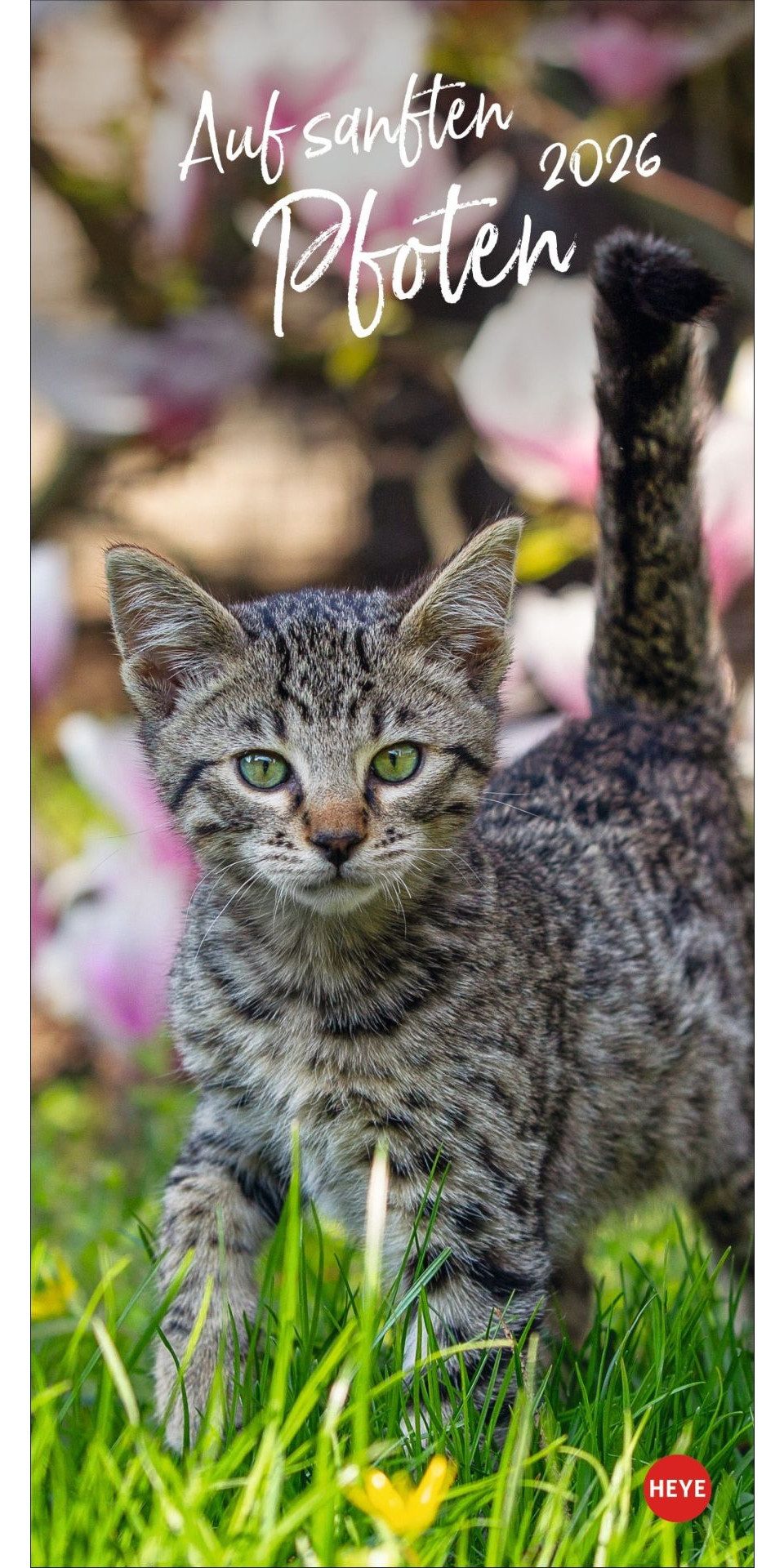 Athesia Календариverlag Настенный календарь Katzen slim - Auf sanften Pfoten Календари 2026