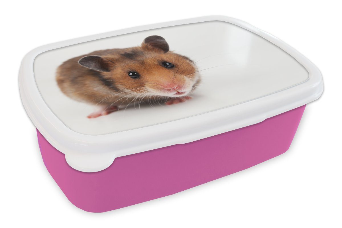 Kunststoff, Lunchbox rosa Brotdose Erwachsene, (2-tlg), Mädchen, für Hamster, Kinder, Neugieriger Brotbox MuchoWow Snackbox, Kunststoff