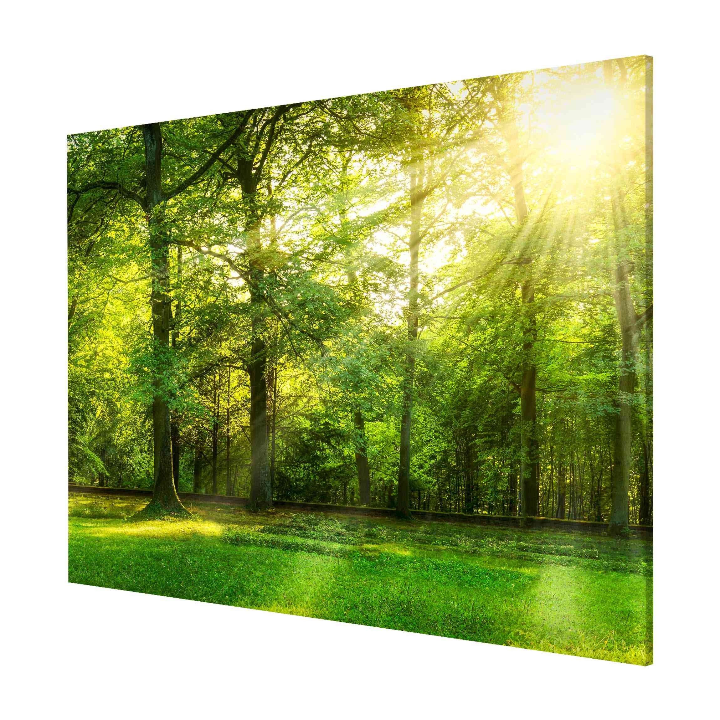 Bilderdepot24 Magnettafel Küche grün Spaziergang im Wald, (1-tlg., Magnetboard Pinnwand für die Wand - metallische Tafel für Magnete), Magnetwand groß mit Motiv Büro Memoboard magnetisch Hochformat