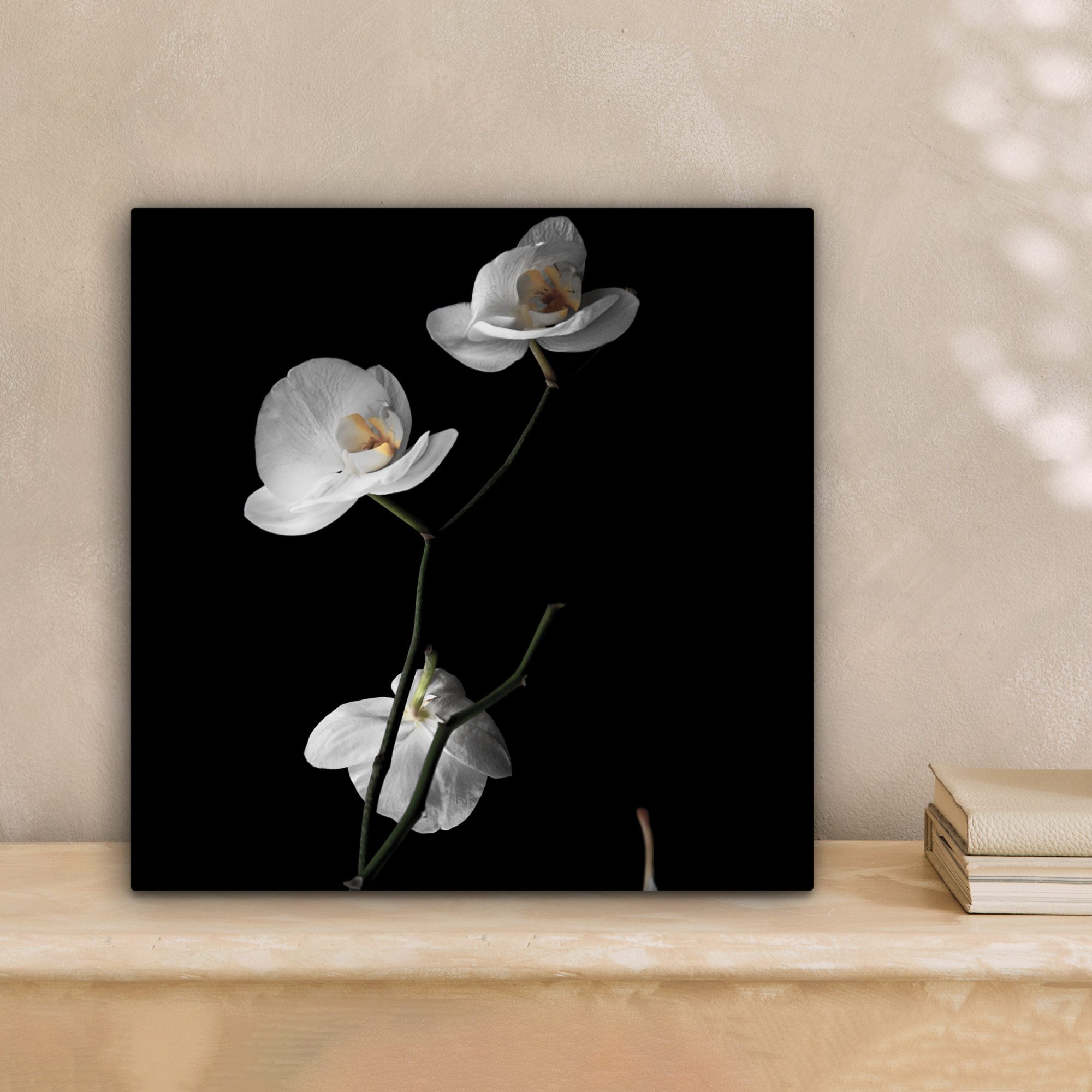 OneMillionCanvasses® Leinwandbild Orchidee - Blumen - Schwarz - Weiß - Stil günstig online kaufen