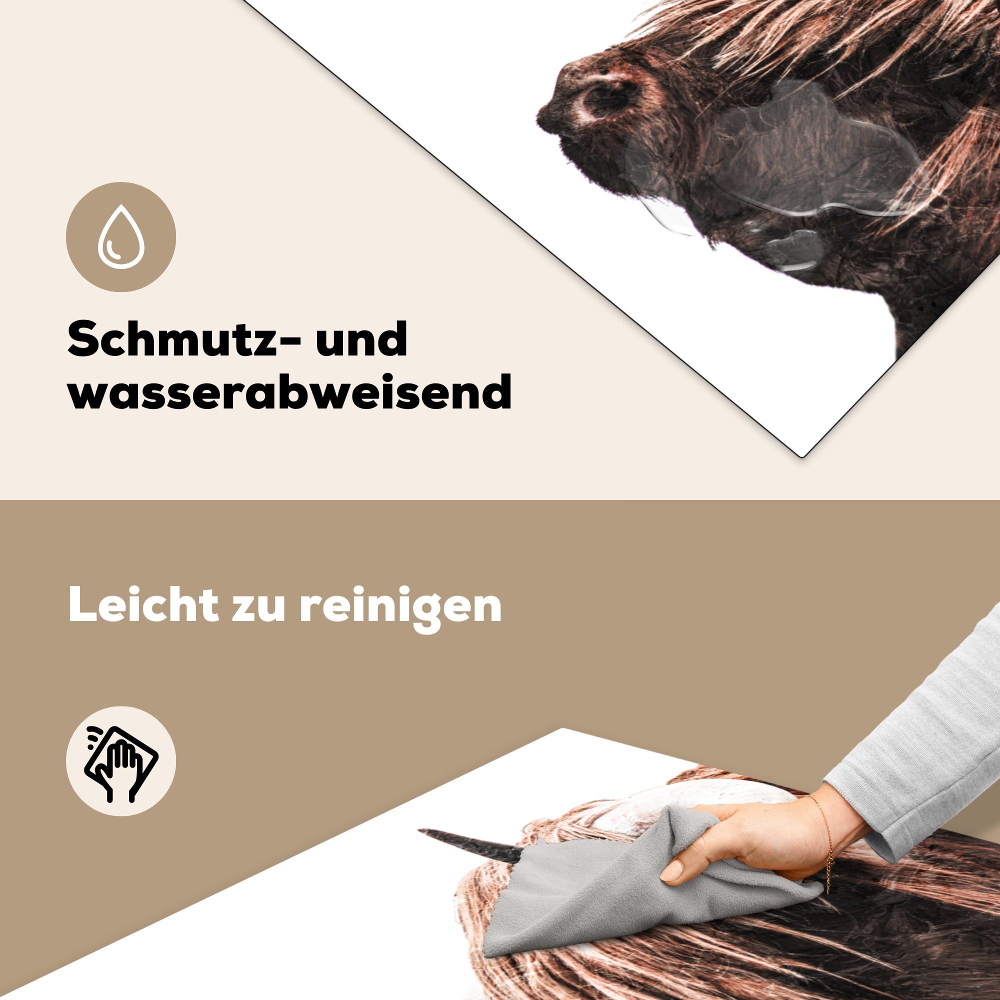 MuchoWow Herdblende-/Abdeckplatte Schottische Highlander - Tiere (1 Kühe, - für Arbeitsplatte 78x78 Vinyl, cm, küche Ceranfeldabdeckung, tlg)