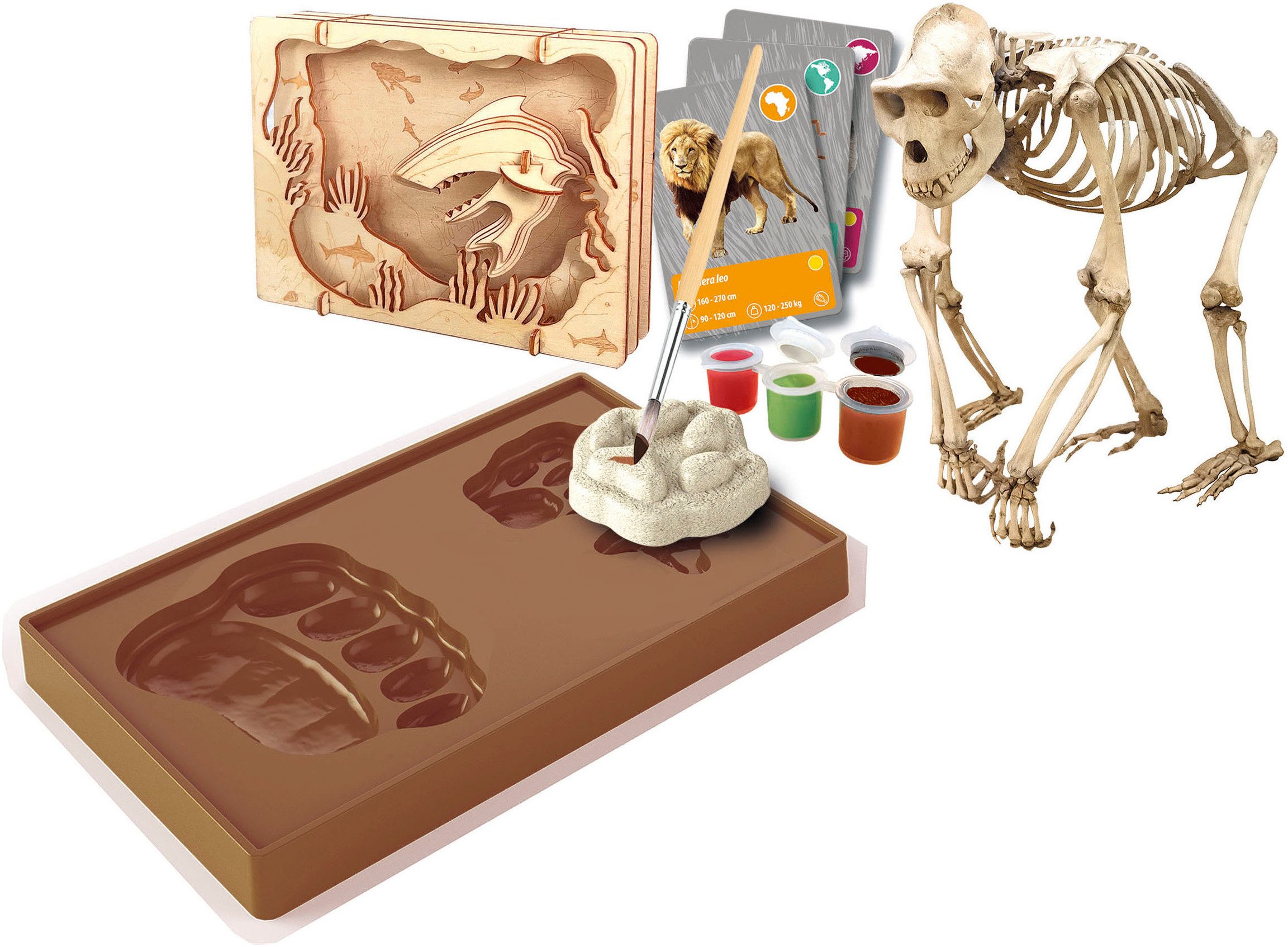 Clementoni® Experimentierkasten Galileo Lab, Entdeckungs-Set, Tiere auf unserer Erde, Made in Europe