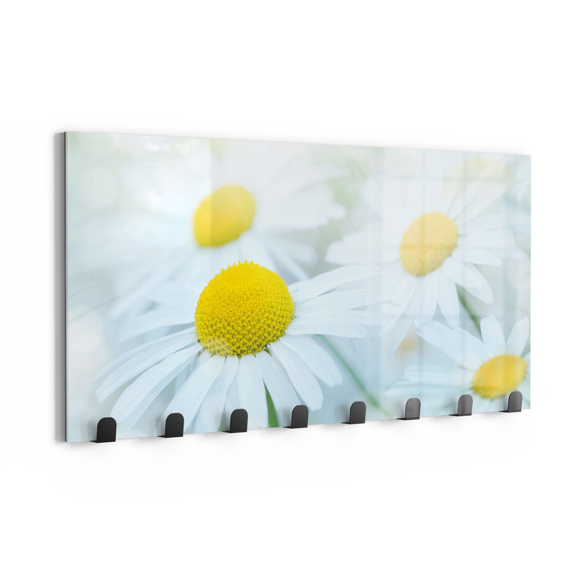 DEQORI Kleiderhaken 'Frühlingsgänseblümchen', Glas Garderobe Paneel magnetisch beschreibbar