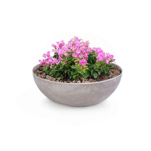 matches21 HOME & HOBBY Blumentopf Pflanzschale für aussen Dekoschale rund sand marmoriert Ø 20 cm (1 St), Blumen-Schale als Gartendeko Vogeltränke Springbrunnen Friedhof