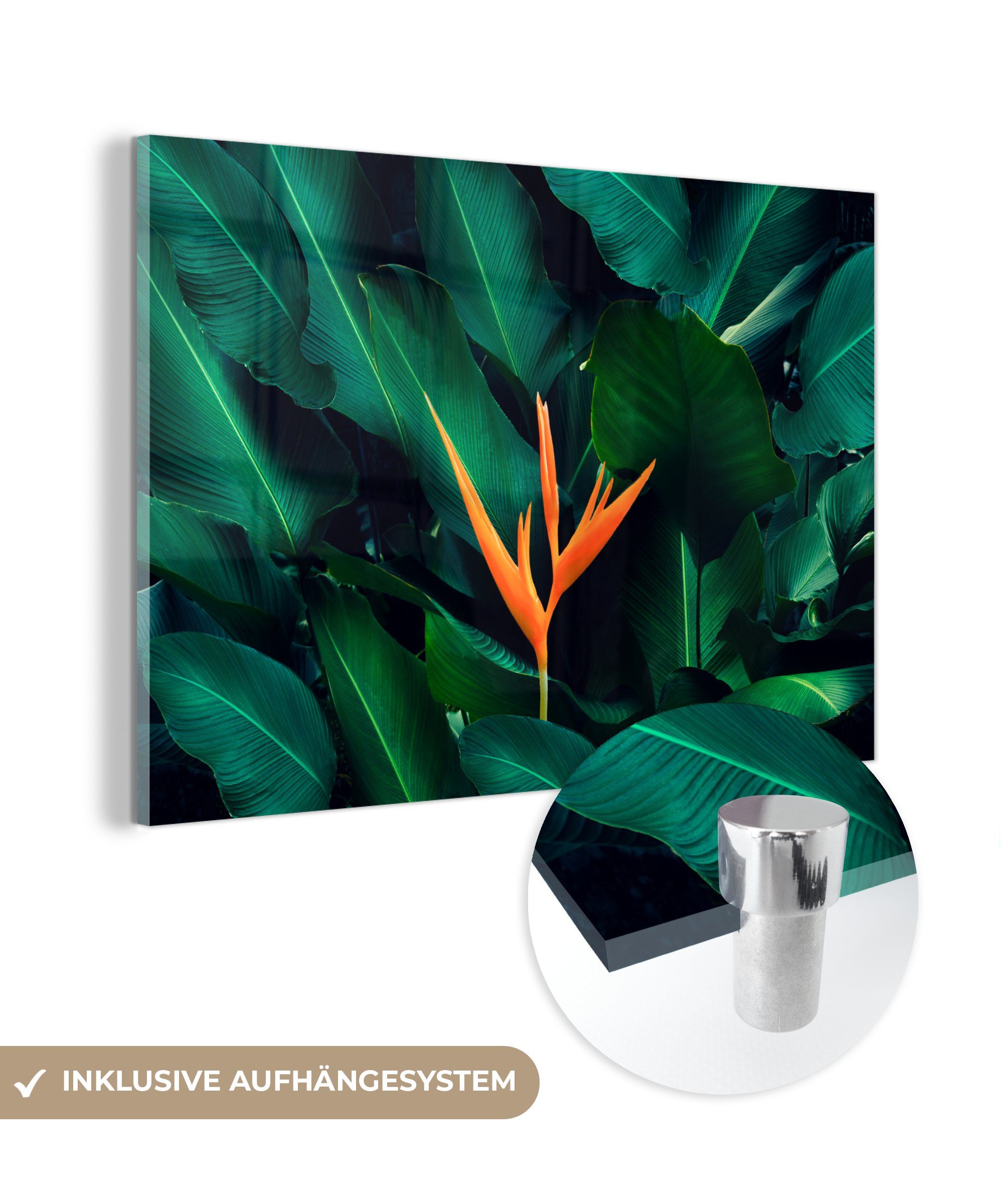 MuchoWow Acrylglasbild Tropisch - Blumen - Orange, (1 St), Acrylglasbilder Wohnzimmer & Schlafzimmer