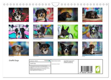 CALVENDO Wandkalender Graffiti Dogs (Wandkalender 2025 DIN A4 quer), CALVENDO Monatskalender