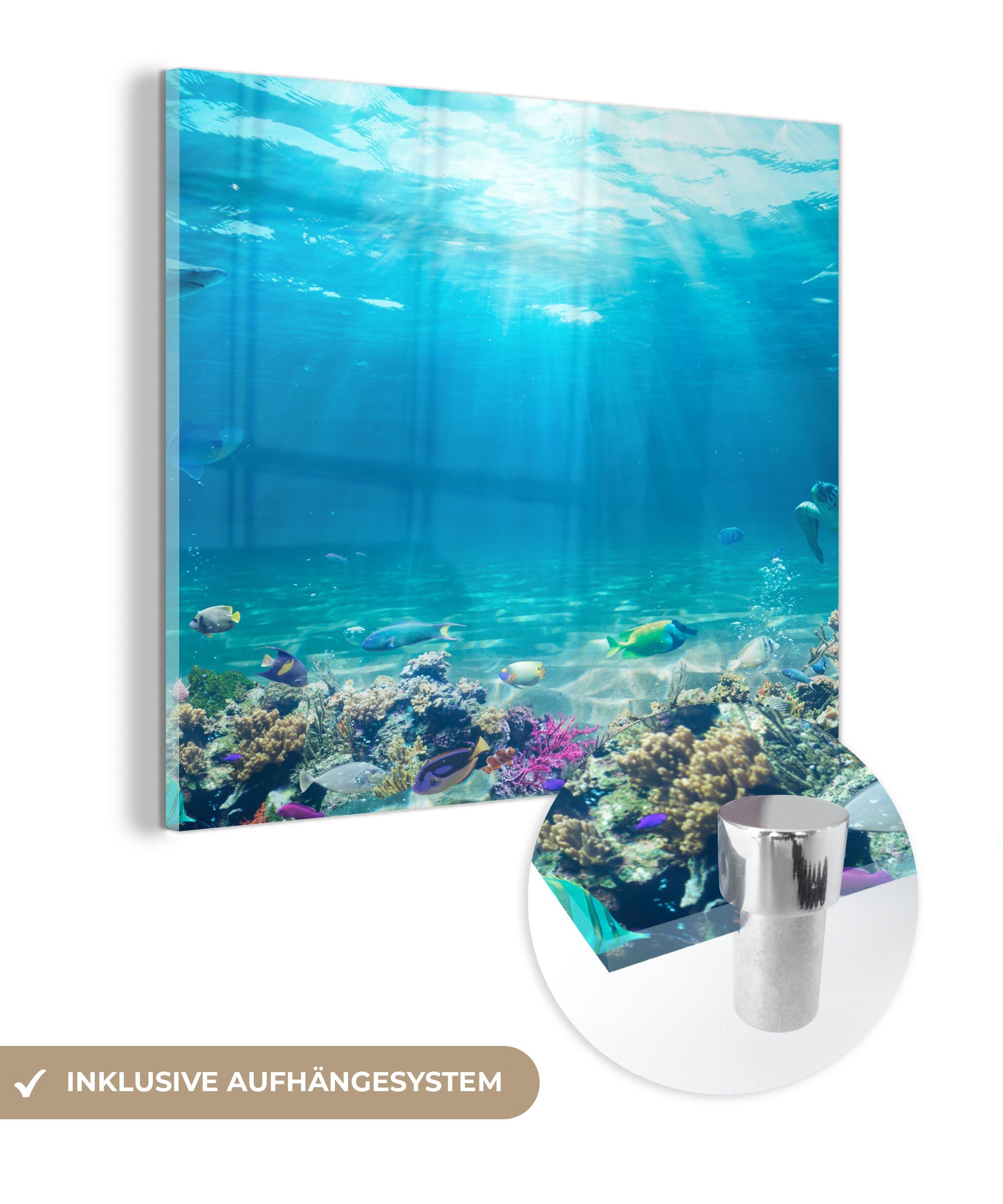 MuchoWow Acrylglasbild Unterwasserwelt - Meerestiere - Wasser - Korallen - Blau, Inkl. Aufhängung, Bilder auf Glas Wandbild, Wanddeko Wohnzimmer Badezimmer, 20x20 cm