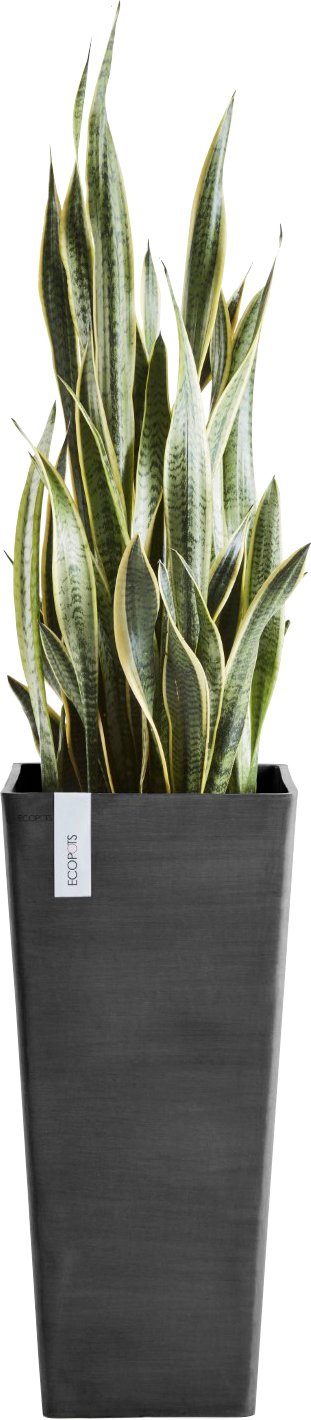 ECOPOTS Blumentopf ROTTERDAM HIGH Dark Grey, BxTxH: 32x32x70 cm