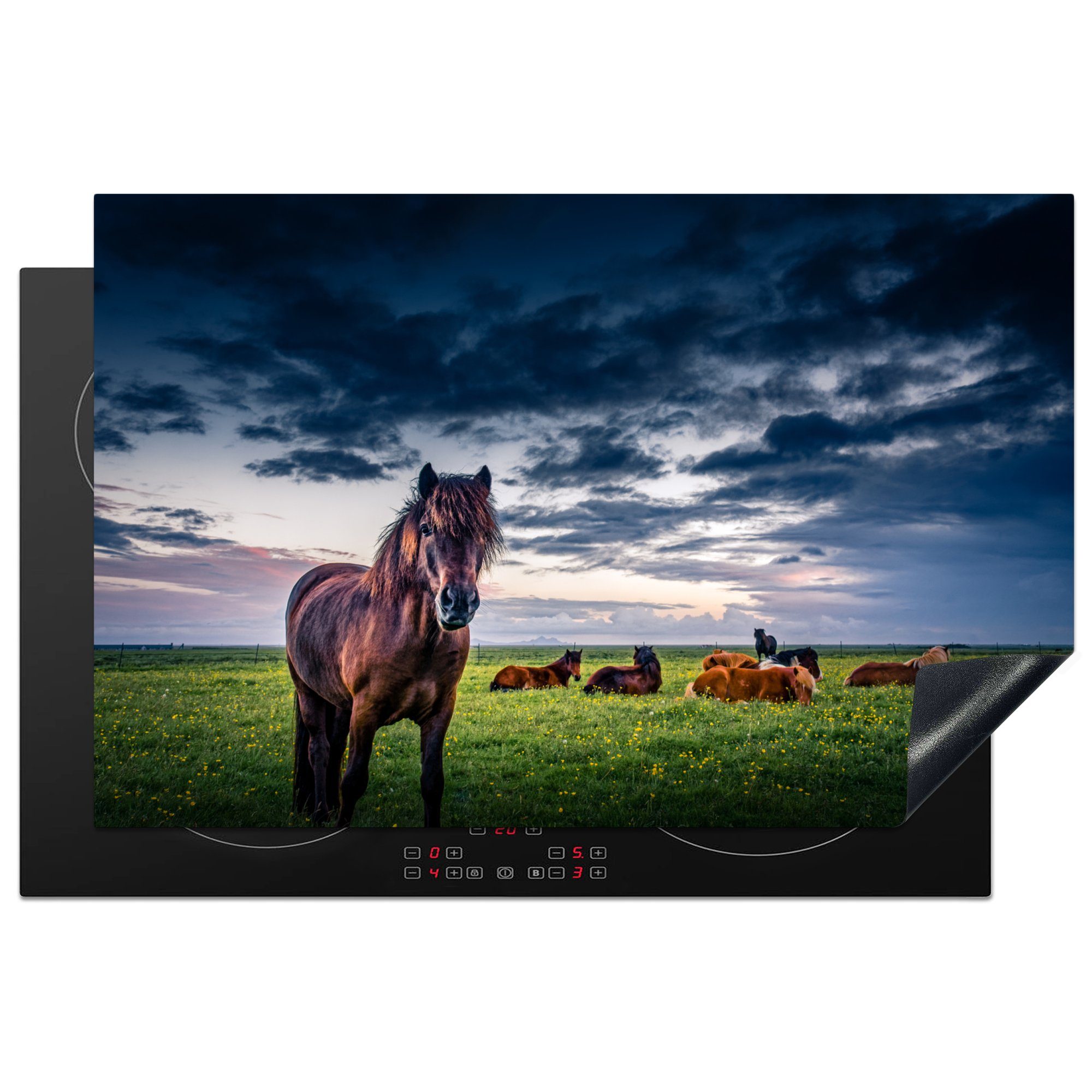 MuchoWow Herdblende-/Abdeckplatte Pferde - Wolken - Gras, Vinyl, (1 tlg), 81x52 cm, Induktionskochfeld Schutz für die küche, Ceranfeldabdeckung
