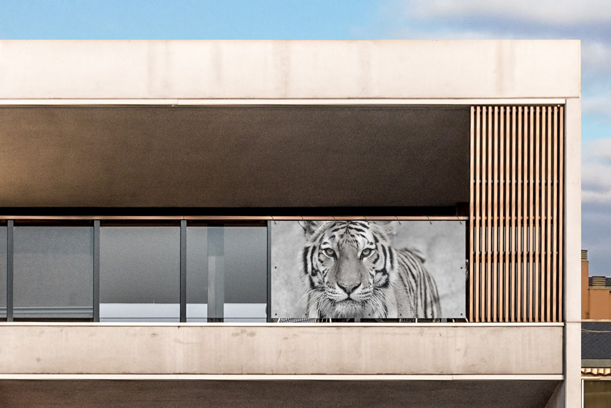 MuchoWow Balkonsichtschutz Tiger - Natur - günstig online kaufen