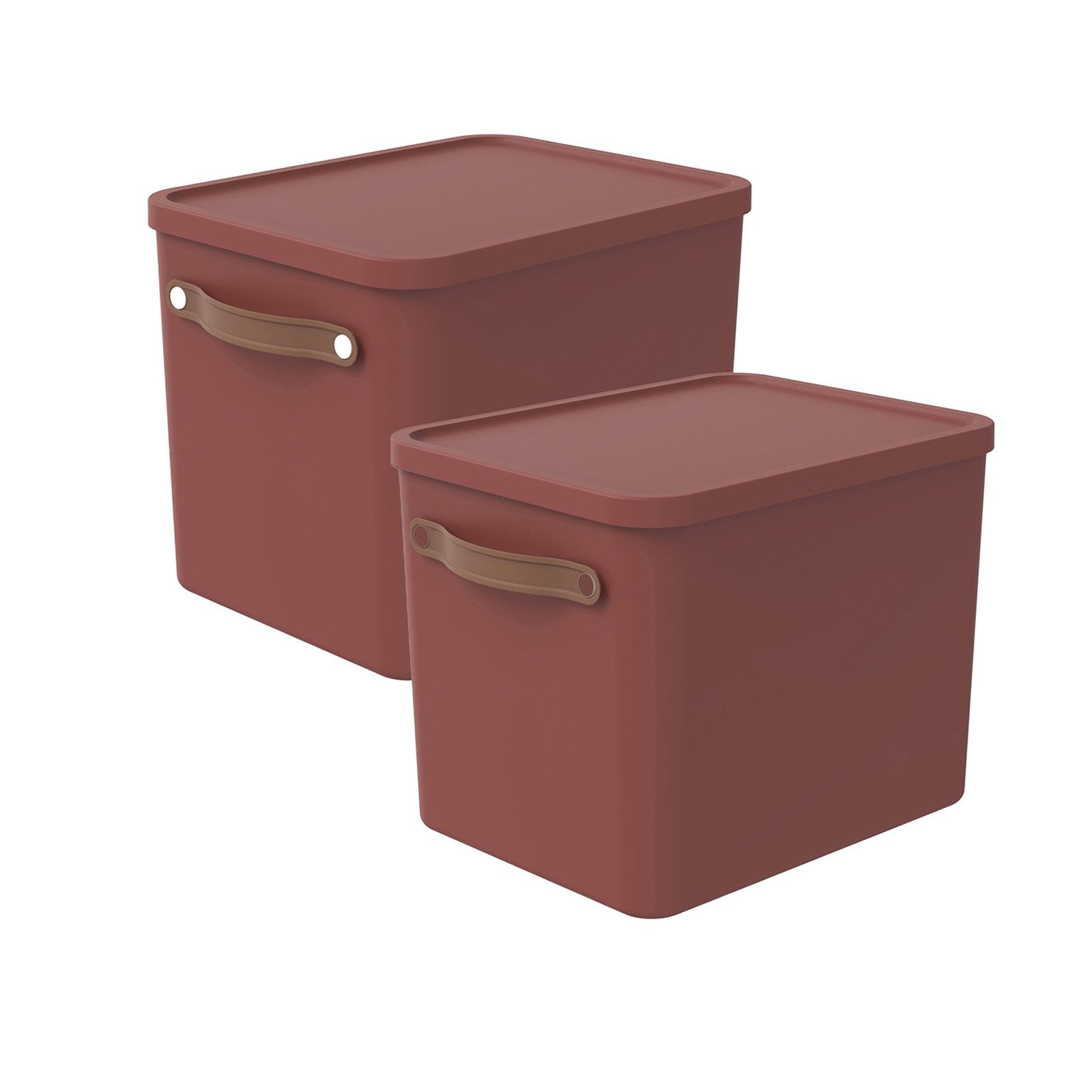 ROTHO Aufbewahrungsbox (Aufbewahrungsset, 2er-Set) günstig online kaufen