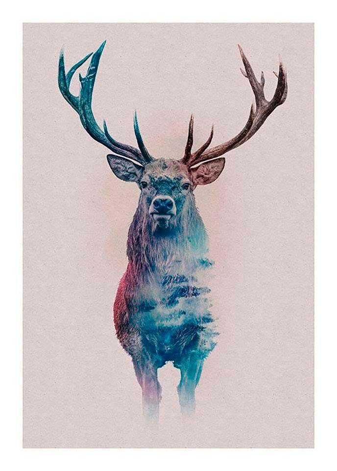 Komar Bild Animals Forest Deer, Tiere (1 St), Wandbild zur Dekoration - ohne Rahmen