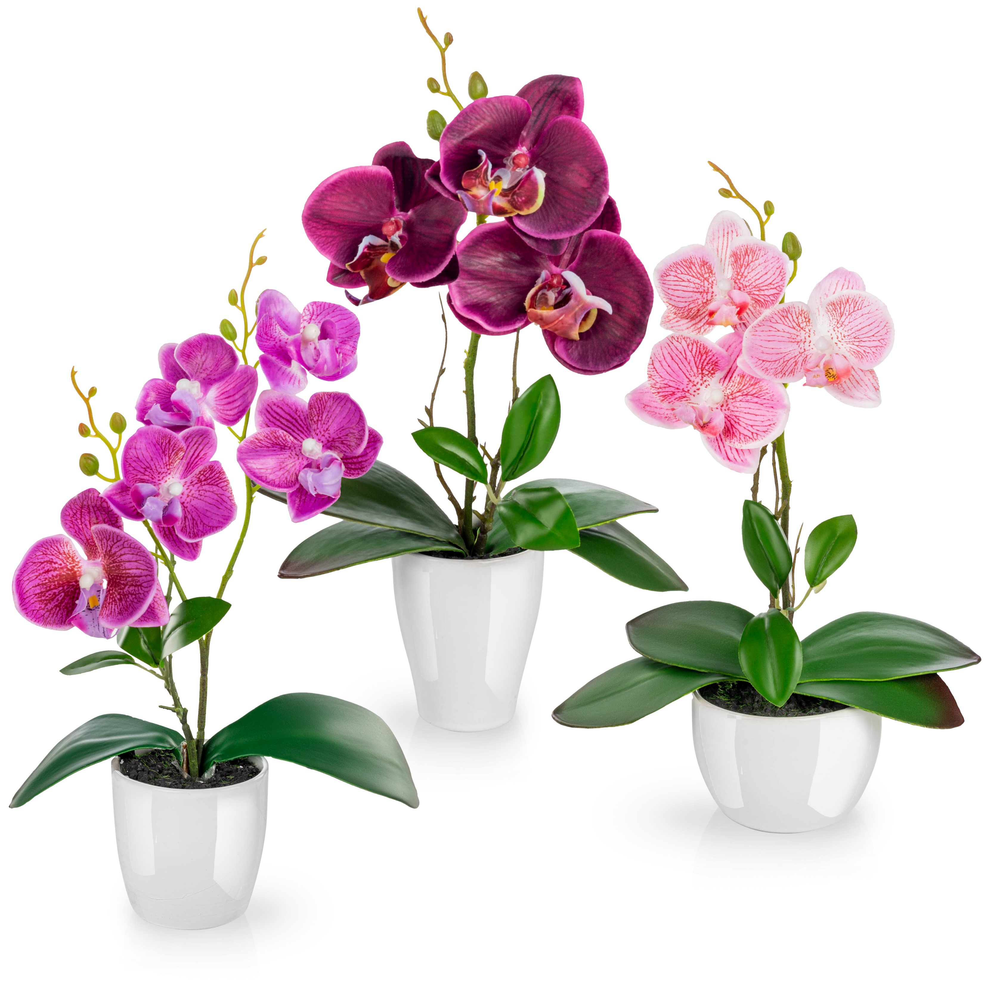 Kunstorchidee 3er Set künstliche Orchideen wie echt (35cm) in Hochglanz-Ker günstig online kaufen