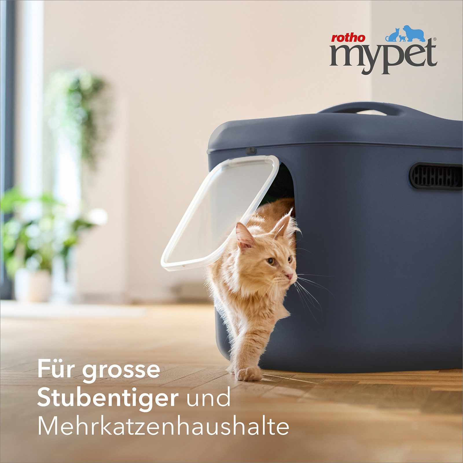 ROTHO Katzentoilette Katzenklo Bea XL mit Schwingtür – ideal für große Katz günstig online kaufen