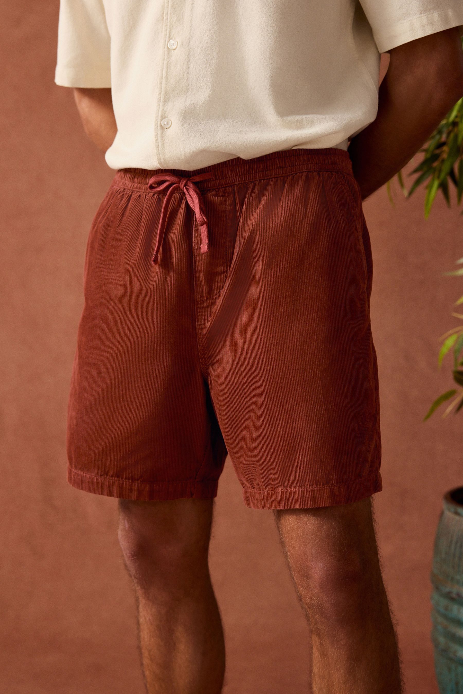 Next Webshorts Dock-Shorts aus Cord (1-tlg)